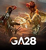 GA28