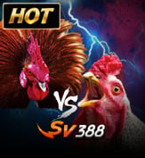 SV388