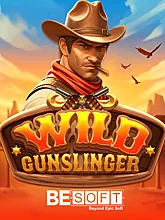 Wild Gunslinger